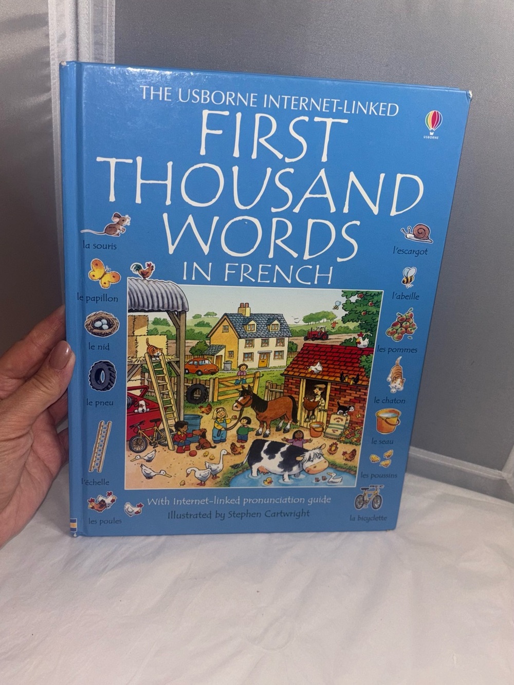 Usborne First Thousand Words in French
